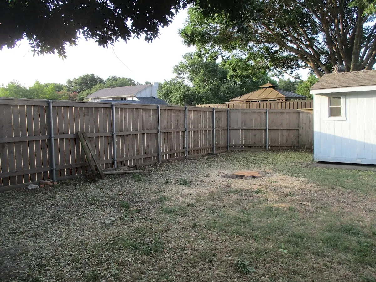 Cleared yard after professional tree removal in Los Alamitos